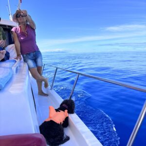 EmotionPlanet-voyages-Espagne-laGomera-bateau
