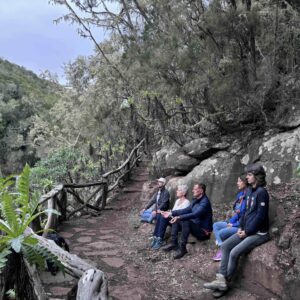 EmotionPlanet-voyages-laGomera-paysages-méditation-forêt