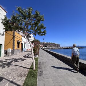 EmotionPlanet-voyages-Espagne-laGomera-paysage-ville