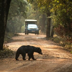 EmotionPlanet-voyages-Asie-SriLanka-Wilpattu
