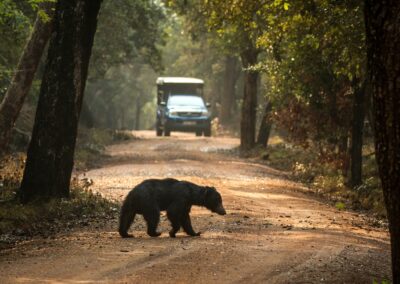 EmotionPlanet-voyages-Asie-SriLanka-Wilpattu