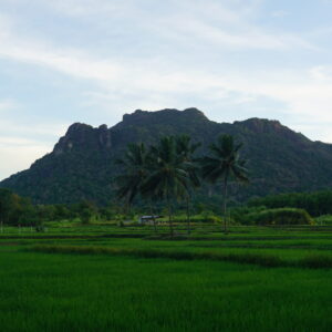 EmotionPlanet-voyages-Asie-SriLanka-vélovillage-paysage