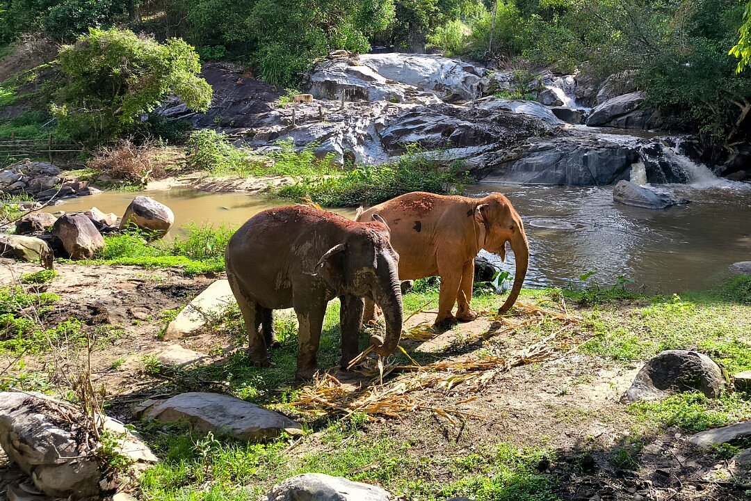 EmotionPlanet-voyages-Asie-Thaïlande-nord-éléphants