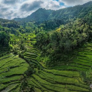 EmotionPlanet-Voyages-Immersion-Asie-Bali-massage-rizières