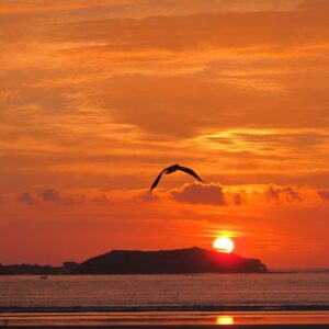 Emotion-Planet-voyage-maroc-retraite-essaouira-soleil