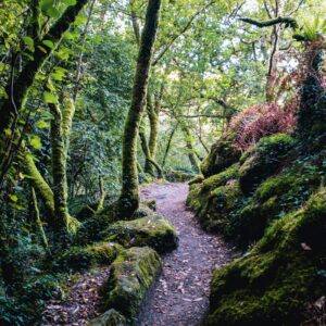 Emotion planet voyage espagne camino del norte marche (2)