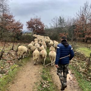 Emotion planet voyage vers soi lent à pied nature rencontre berger