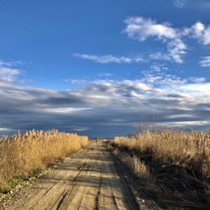 Emotion planet voyage vers soi lent à pied nature rencontre chemin