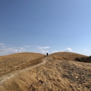 Emotion planet voyage vers soi lent à pied nature rencontre