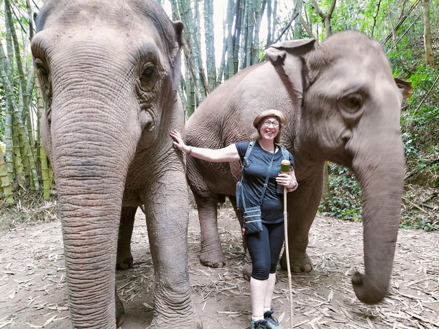 EmotionPlanet-voyages-Asie-Thailande-refuge-sanctuaire-éléphants