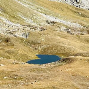 EmotionPlanet-Voyages-Ecotourisme-Europe-Suisse-StBernard-paysage