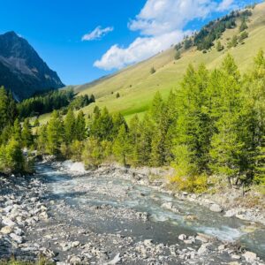 EmotionPlanet-Voyages-Ecotourisme-Europe-Suisse-StBernard-paysage