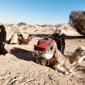 Emotion Planet voyage scolaire tunisie desert