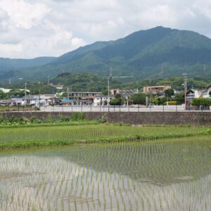 EmotionPlanet-Voyages-Ecotourisme-Asie-Japon-Kyoto