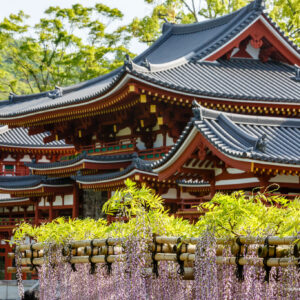 EmotionPlanet-Voyages-Ecotourisme-Asie-Japon-byoudoin