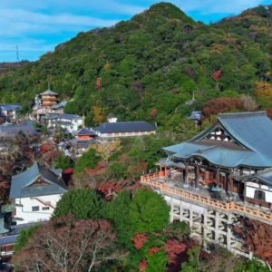 EmotionPlanet-Voyages-Ecotourisme-Asie-Japon-gyokuzoin