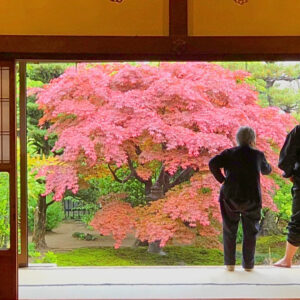 EmotionPlanet-Voyages-Ecotourisme-Asie-Japon(2)