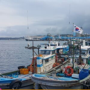 EmotionPlanet-Voyages-Immersion-ecotourisme-Asie-Corée-donghae