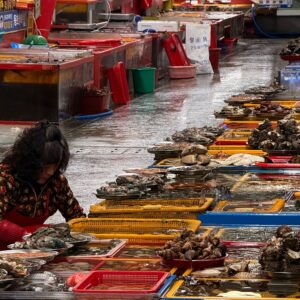 EmotionPlanet-Voyages-Immersion-ecotourisme-Asie-Corée-marché-poissons