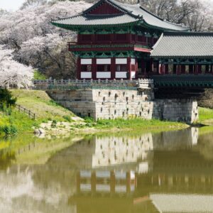 EmotionPlanet-Voyages-Immersion-ecotourisme-Asie-Corée-paysage