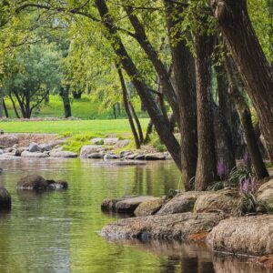 EmotionPlanet-Voyages-Immersion-ecotourisme-Asie-Corée-paysage(1)
