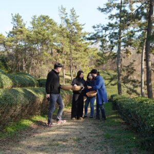 EmotionPlanet-Voyages-Immersion-ecotourisme-Asie-Corée-suncheon