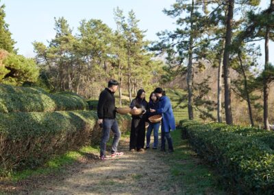 EmotionPlanet-Voyages-Immersion-ecotourisme-Asie-Corée-suncheon